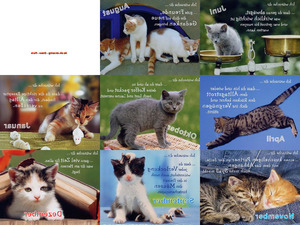 klicke hier, um die Datei herunterzuladen Kalender 2011