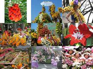 Blumenfest Madeira