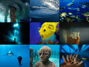 colors of the world under water