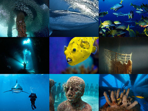 klicke hier, um die Datei herunterzuladen colors of the world under water