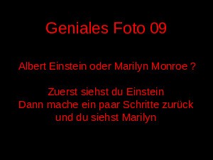 Geniales Foto - Albert und Marilyn