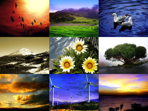 klicke hier, um die Datei herunterzuladen colourful nature