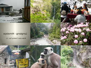 klicke hier, um die Datei herunterzuladen Langtang - 1 Teil