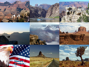 klicke hier, um die Datei herunterzuladen ARIZONA