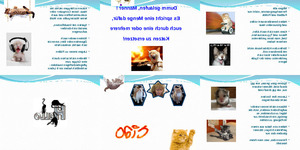 Tausche Mann gegen Katze