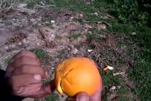 VID-20140531-WA0000