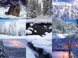Spectacular Winter Images