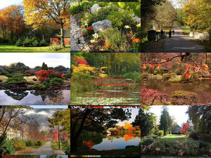 Autumn Gardens 1 ge