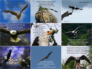 klicke hier, um die Datei herunterzuladen Flieg Adler flieg