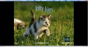 klicke hier, um die Datei herunterzuladen kitty kitty