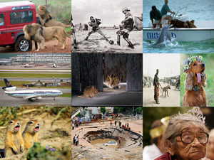 klicke hier, um die Datei herunterzuladen Cool pictures www
