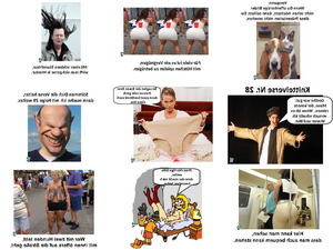 klicke hier, um die Datei herunterzuladen Knittelverse Nr 28