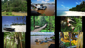 klicke hier, um die Datei herunterzuladen Borneo 1