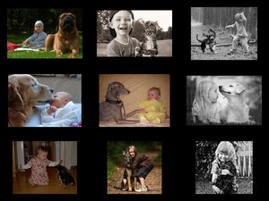 klicke hier, um die Datei herunterzuladen Babysitters
