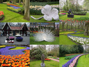 klicke hier, um die Datei herunterzuladen digimail2u-Keukenhof