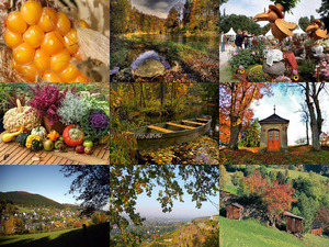klicke hier, um die Datei herunterzuladen Herbstzauber