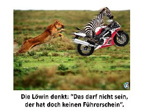 klicke hier, um die Datei herunterzuladen Knittelverse Nr. 5