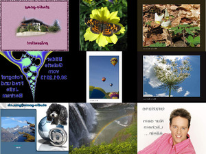 klicke hier, um die Datei herunterzuladen Bilder-Galerie vom 30012013a