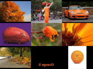 Orange 5
