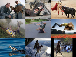 klicke hier, um die Datei herunterzuladen photomix4