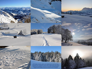 klicke hier, um die Datei herunterzuladen Appenzellerland