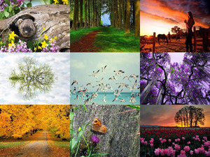 klicke hier, um die Datei herunterzuladen giftsofnature-120723104918-phpapp01