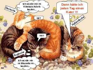 klicke hier, um die Datei herunterzuladen Kittekatt