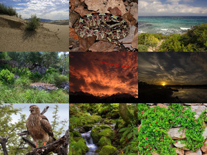 klicke hier, um die Datei herunterzuladen Beautiful Nature 70