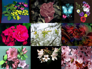 klicke hier, um die Datei herunterzuladen mes-amours-de-fleurs-roberte (Meine Liebe zu Blumen)