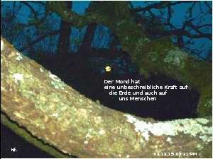 klicke hier, um die Datei herunterzuladen A235 Jesus sagt
