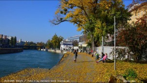 Herbst in Wien