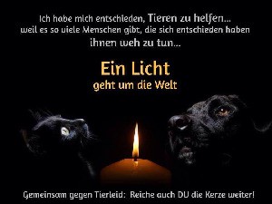 Ein Licht geht um die Welt