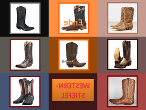 Western-Stiefel