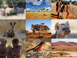 klicke hier, um die Datei herunterzuladen Kalahari 5