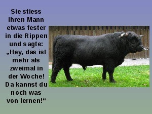 klicke hier, um die Datei herunterzuladen Bullenmarkt