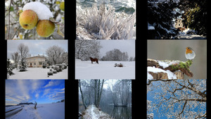 klicke hier, um die Datei herunterzuladen Winter