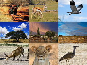 klicke hier, um die Datei herunterzuladen Kalahari 2