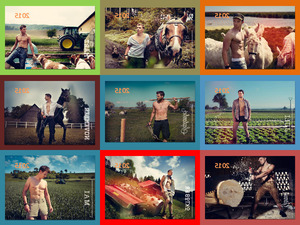 klicke hier, um die Datei herunterzuladen Jungbauern-Kalender 2015