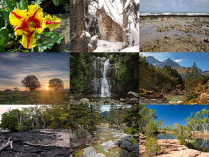klicke hier, um die Datei herunterzuladen Beautiful nature 78