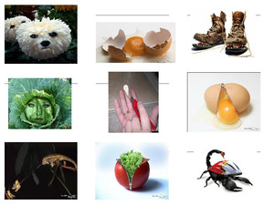 klicke hier, um die Datei herunterzuladen Fotomontagen