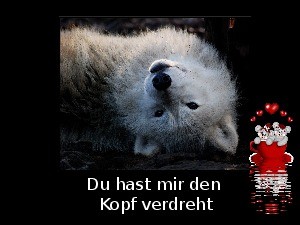 klicke hier, um die Datei herunterzuladen du hast mir den Kopf verdreht