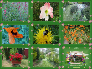 klicke hier, um die Datei herunterzuladen je-vous-invite-dans-mon-jardin-marinette