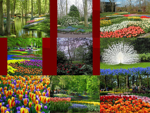 Keukenhof in Holland