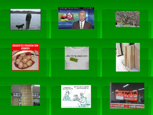 klicke hier, um die Datei herunterzuladen lustige Bilder April2014