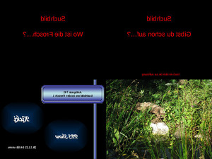 Antiquus 741 - Suchbild - Wo ist der Frosch 1