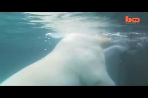 der Mann und der Eisbaer