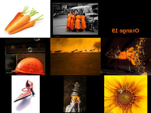 Orange 19