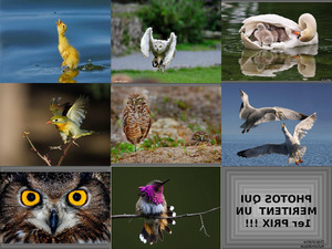klicke hier, um die Datei herunterzuladen FOTOS QUE SE MERECEN UN 10