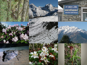 Bilder einer Trekkingtour durch den Langtang Nationalpark-2