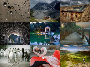 klicke hier, um die Datei herunterzuladen superb pictures 1